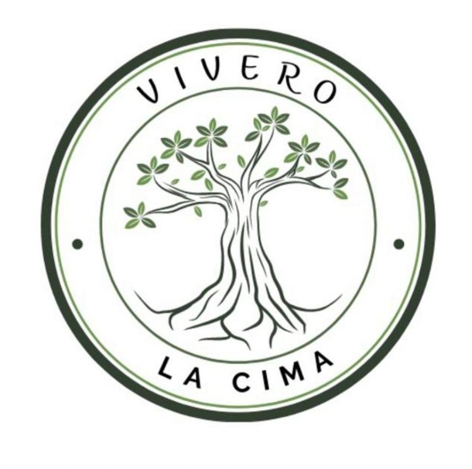viverolacima